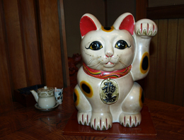 ���~�ɒu����Ă��鏵���L